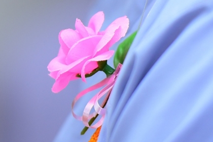 “Bông hồng cài áo”, một đoản văn có sức lan tỏa lớn